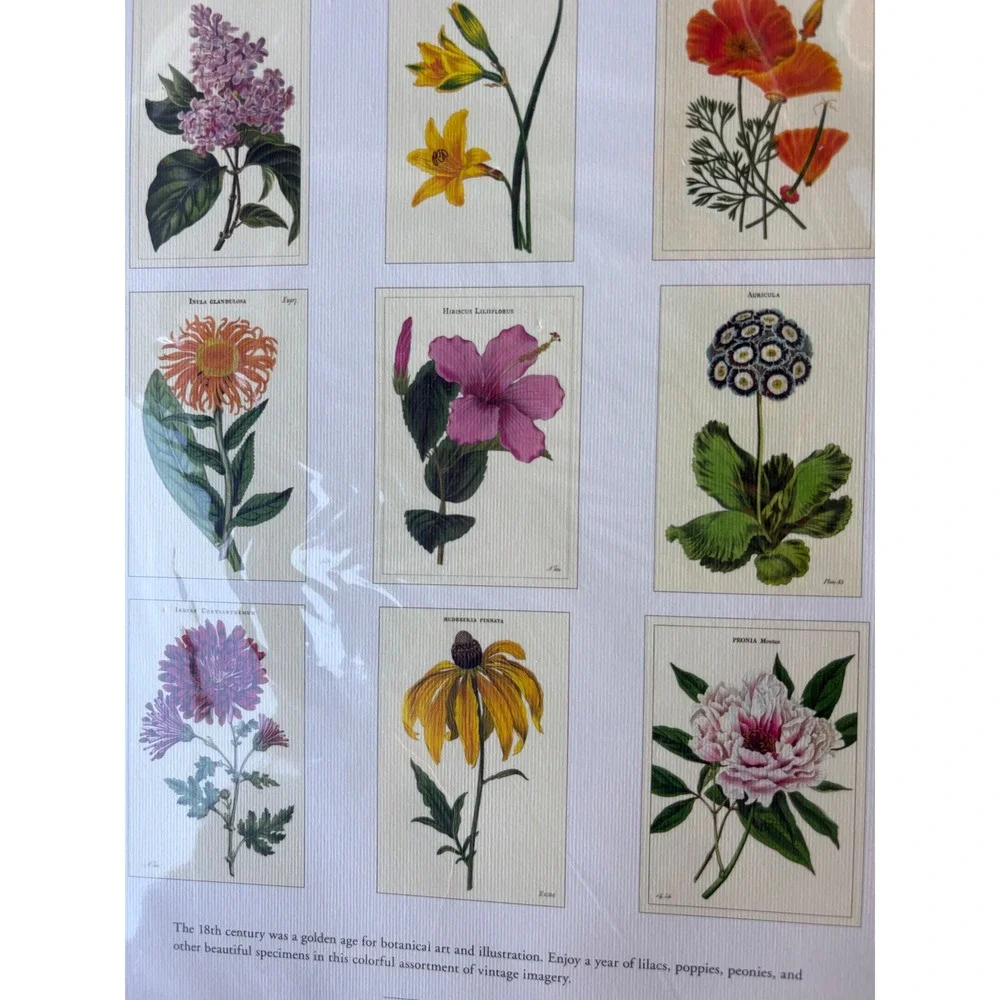 Cavallini & Co Wall Calendar 2024 Botanica Vintage Floral Art Prints New Sealed